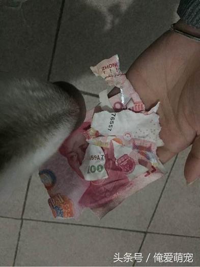 万象城娱乐网址